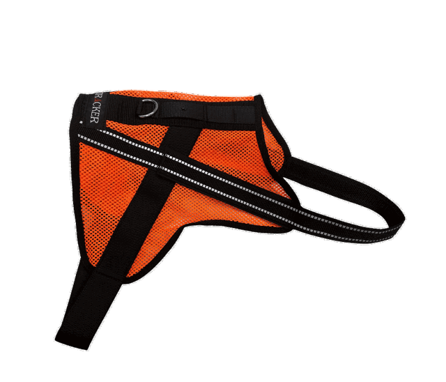 Picture of Tracker Aira lighweight dog vest