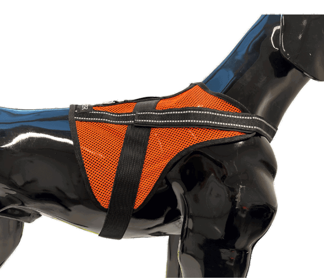 Picture of Tracker Aira lighweight dog vest on a plastic dog