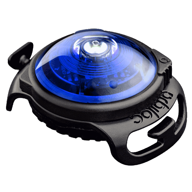 Picture of red Orbiloc safety light for dog