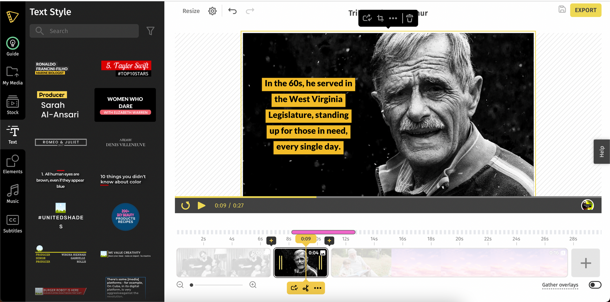 Choose from pre-animated text templates to add your message.