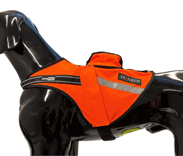 Picture of Tracker Sisu safety harness for a hunting dog on a plastic dog